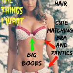 sissiesbeingused reddit