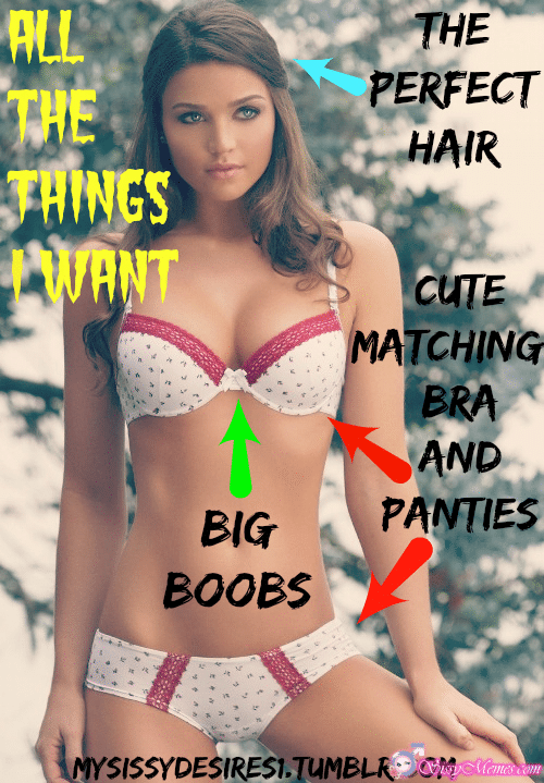 Trap Teen Feminization Femboy sissy caption: ALL THE THINGS WANT THE PERFECT HAIR CUTE MATCHING BRA AND PANTIES BIG BOOBS Cute Underwear on a Slender Sissy