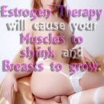 sissy estrogen porn captions
