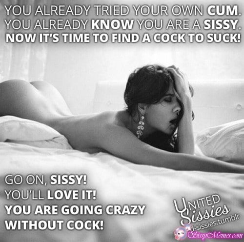 Crazy Wife Porn Captions - Sissygasm Captions - Sissy and Femboy cumming | SissyMemes.com | Page 3 of  11
