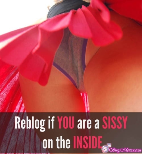 Hypno Feminization sissy caption: Reblog if YOU are a SISSY on the INSIDE Panties Under the Skirt of a Slender Girl