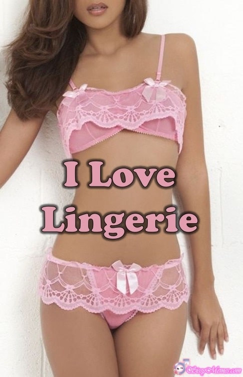 Trap Teen sissy caption: I Love Lingerie Pink Underwear on a Slender Girl