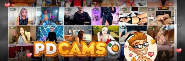 Why Are So Many Folks Choosing to Join the Live Sissy Sex Cams Revolution?