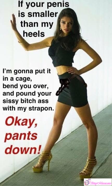 Sexy Pegging Humiliation Forced sissy caption: If your penis is smaller than my heels I’m gonna put it in a cage, bend you over, and pound your sissy bitch ass with my strapon. Okay, pants down! Total Control Over a Helpless Sissy