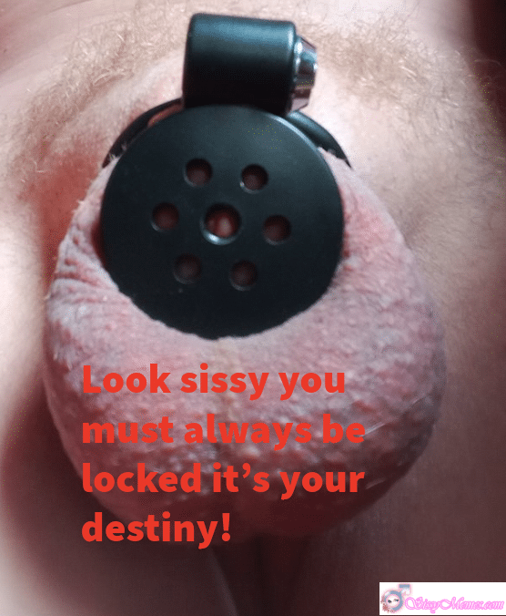 Training Sissygasm Pegging Hypno Humiliation Feminization Femdom Femboy Chastity sissy caption: A locked sissy's daily life, embracing his destiny with a chastity cage, symbolizing submission and transformation. A Day in the Life of a Locked Sissy: Embracing His Destiny